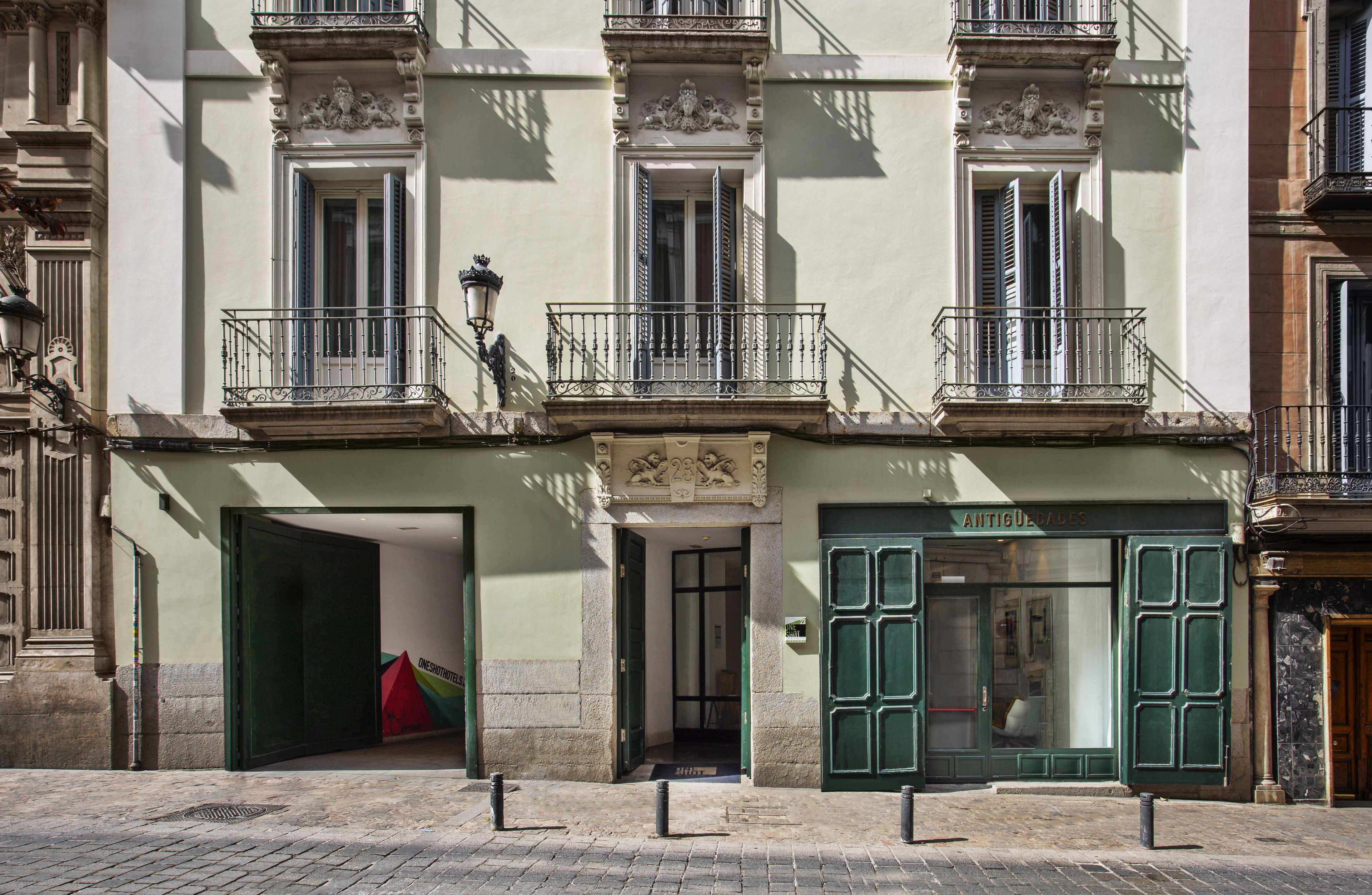 One Shot Prado — Photos 3